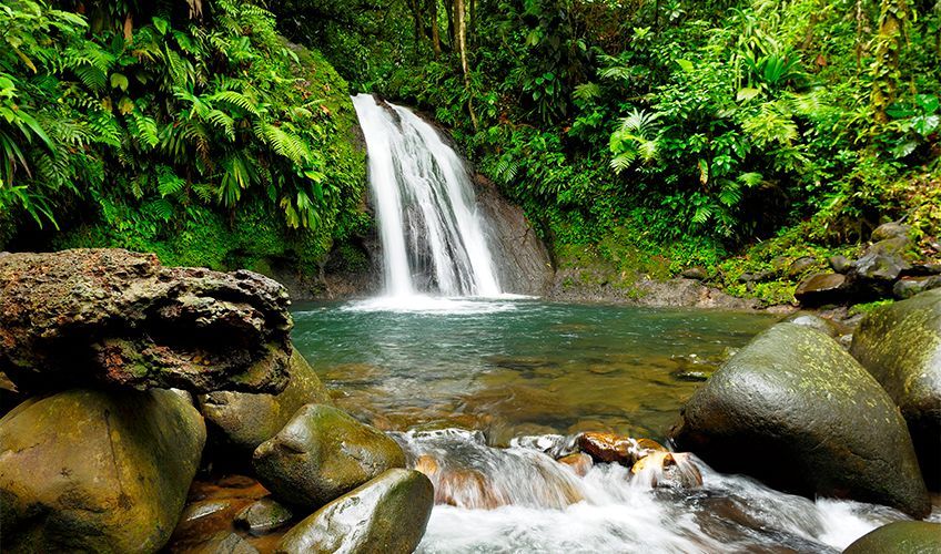 Cascade aux écrevisses en Guadeloupe