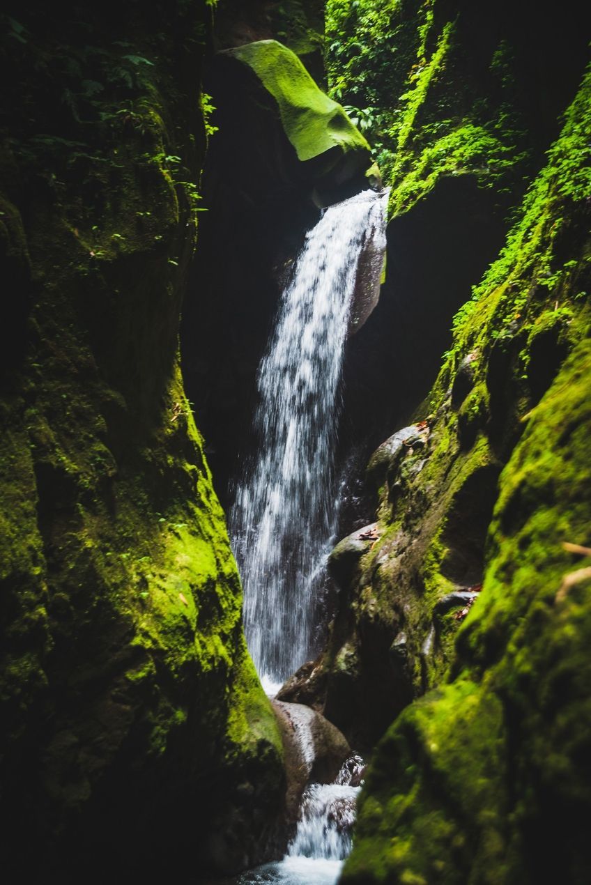 vue des gorges de la falaise en martinique