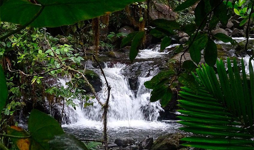 Cascade Paradise en Guadeloupe