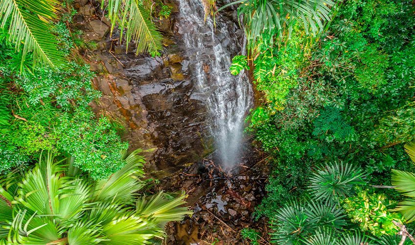 cascade dans la Vallée de Mai aux Seychelles