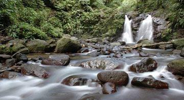 Top 10 des plus belles cascades de Martinique