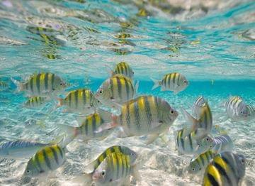 cayo arena republique dominicaine