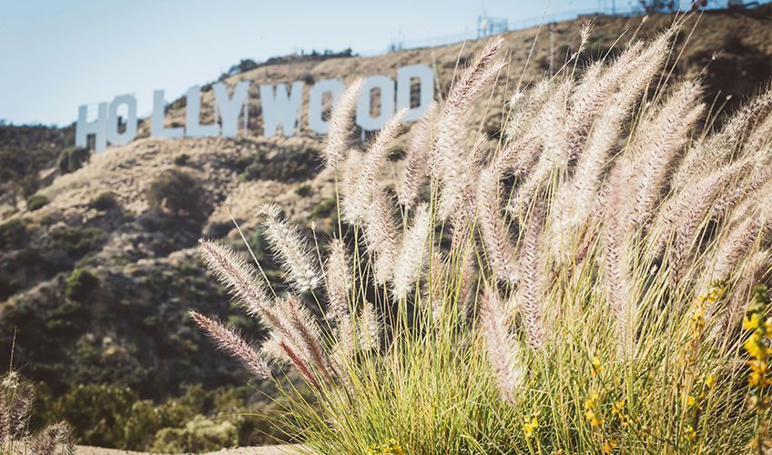 colline de Los Angeles avec le signe Hollywood