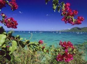 Martinique / Sainte-Lucie Charme & Nature : un combiné 100% Tropicalement Vôtre !
