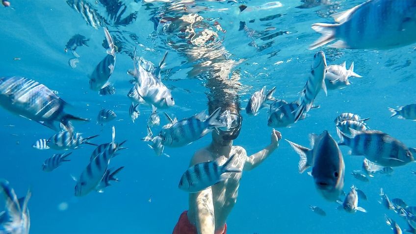 snorkeling aux seychelles