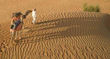 Dubaï : sur la trace des Bédouins, safari dans le désert à Dubaï !