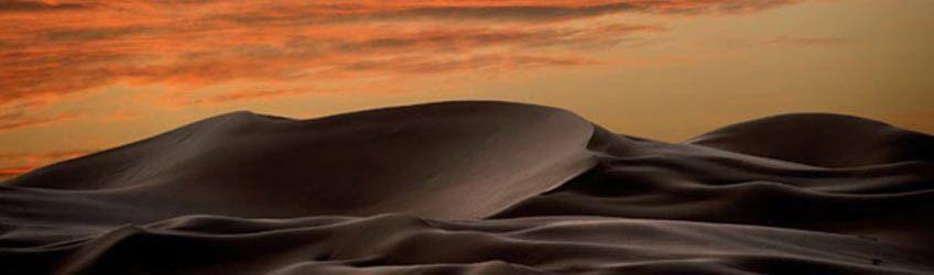 Le Désert de Liwa... Merveille d'Abu Dhabi