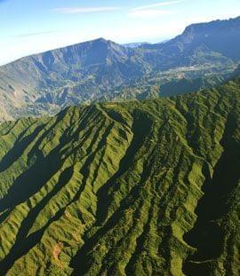 Le Dimitile à la Réunion Le Dimitile