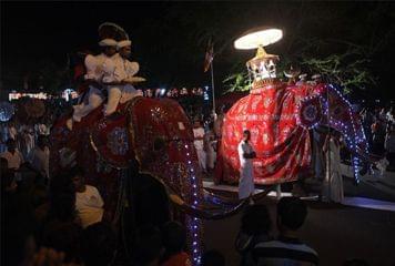 éléphants illuminés de Perahera éléphants illuminés de Perahera