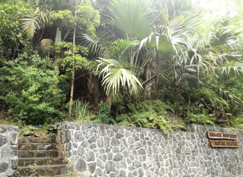 départ de la randonnée de Grande Montagne à Rodrigues