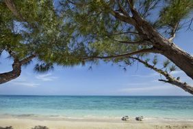 L'environnement, au cur des priorits des htels Viva Wyndham