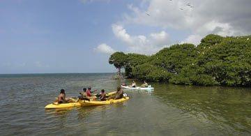 Escapade Robinson en Guadeloupe : rendez-vous à Grand Cul de Sac Marin
