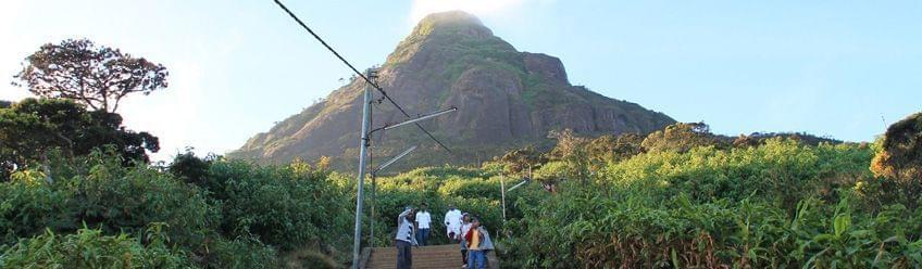 Top 5 des plus belles expériences authentiques du Sri Lanka