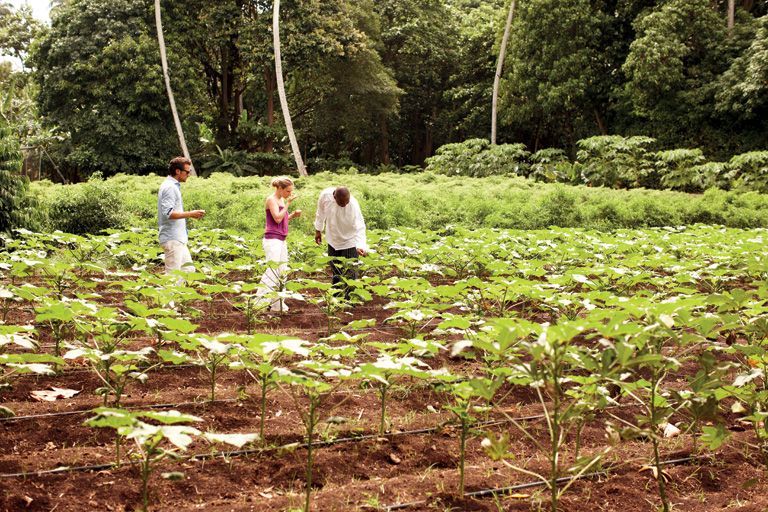 fregate eco-friendly seychelles