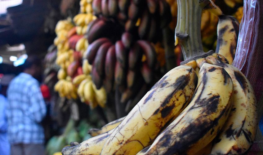 fruits sur le march de Stone Town