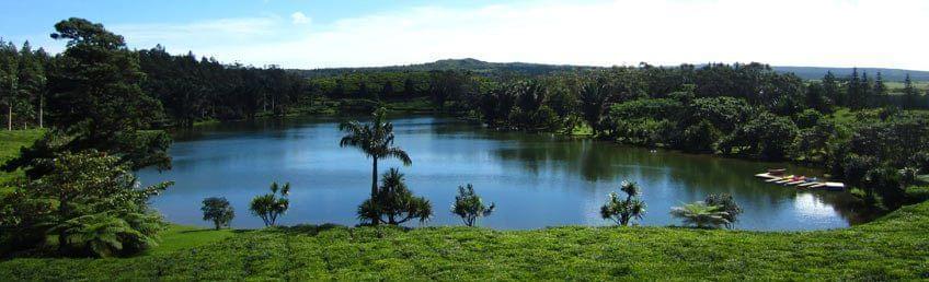 Le nouveau parcours de golf à l'île Maurice : Avalon Golf