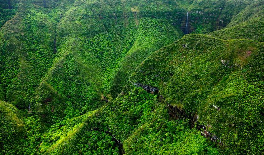 Gorges de la Rivière Noire à l'île Maurice