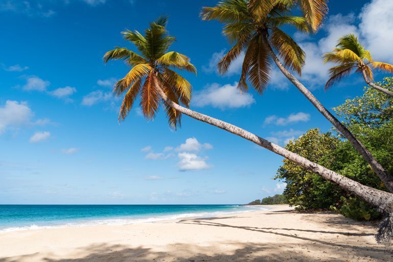 grande anse des salines martinique