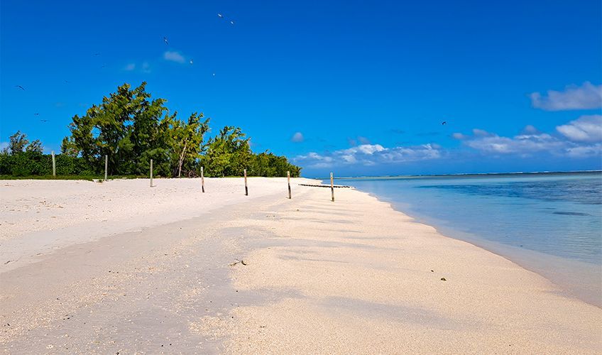 plage de l'île aux cocos à rodrigues