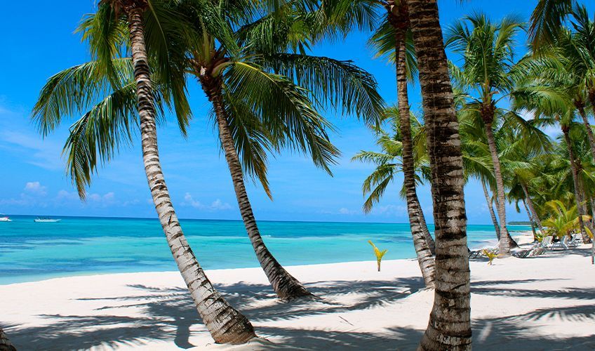 plage sur l'île de Saona en République dominicaine