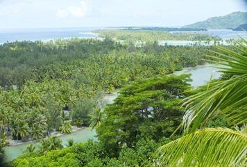 huahine nature sauvage huahine nature sauvage