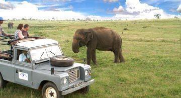 Top 5 des sites incontournables du Sri Lanka