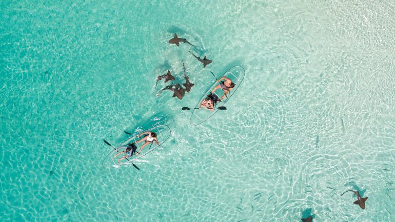 kayak exumas bahamas
