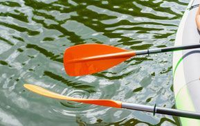 En kayak au cœur de la réserve naturelle de l'étang de Saint-Paul