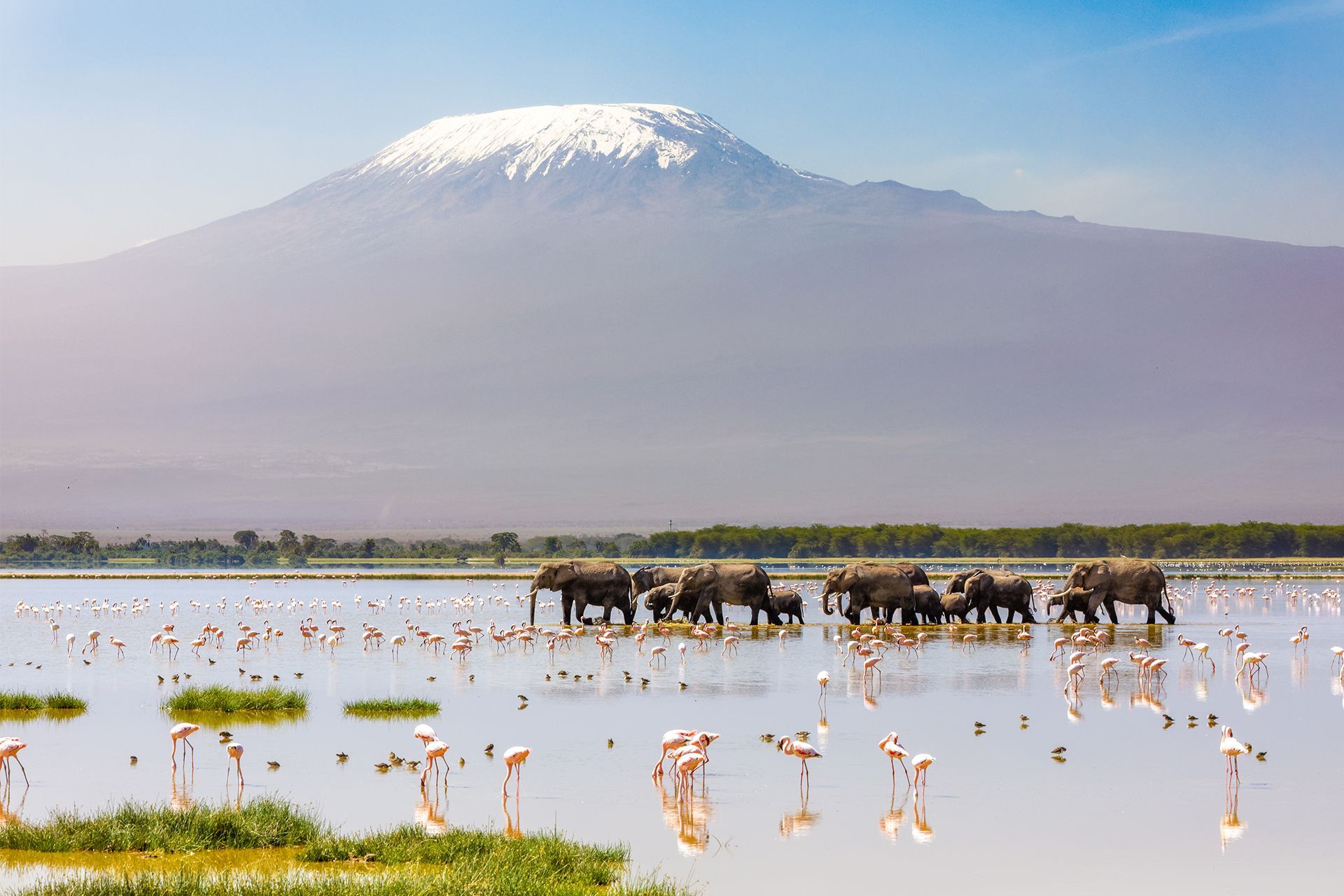 Direction le Kenya sauvage & l'�le paradisiaque de Zanzibar 