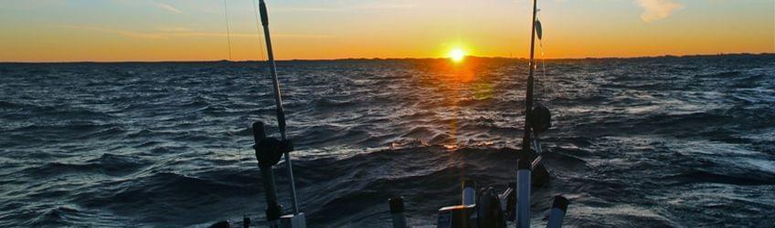 plus belles vidéos de pêche en mer 