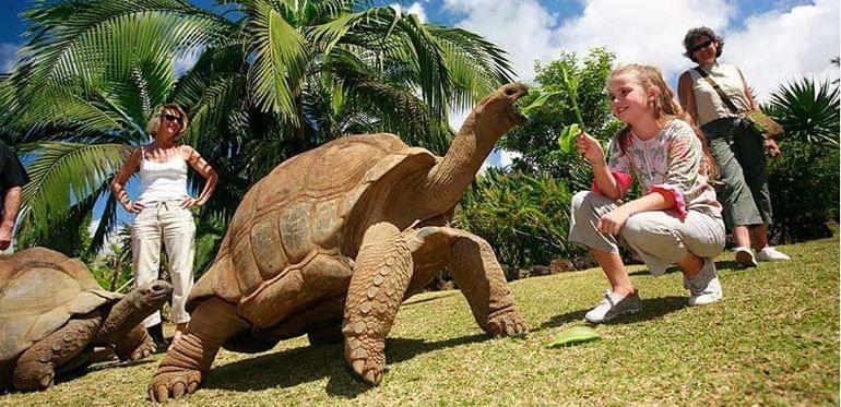 vanille reserve mascareignes tortues