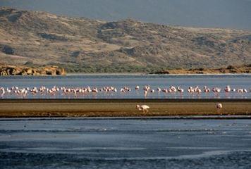 vue sur lac natron tanzanie lac natron tanzanie