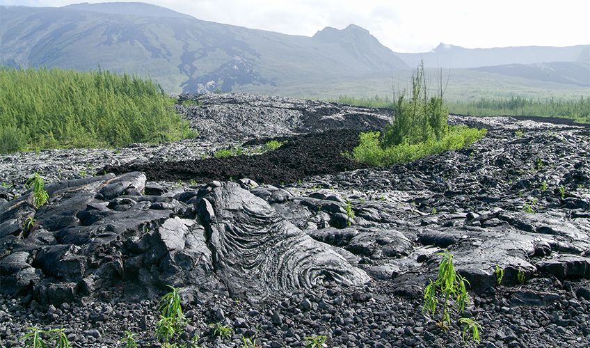 paysage de lave � la R�union