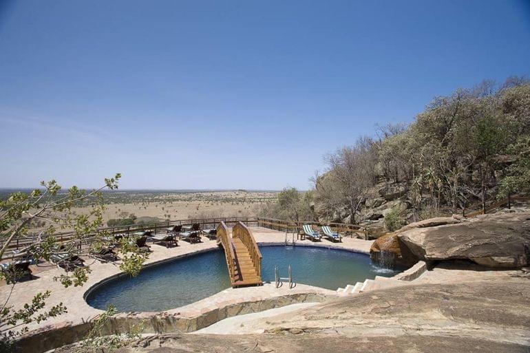 lobo wildlife lodge