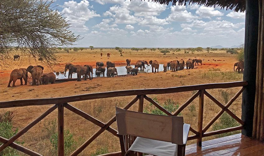 lodge avec vue sur un lac o� les �l�phants viennent boire au Kenya