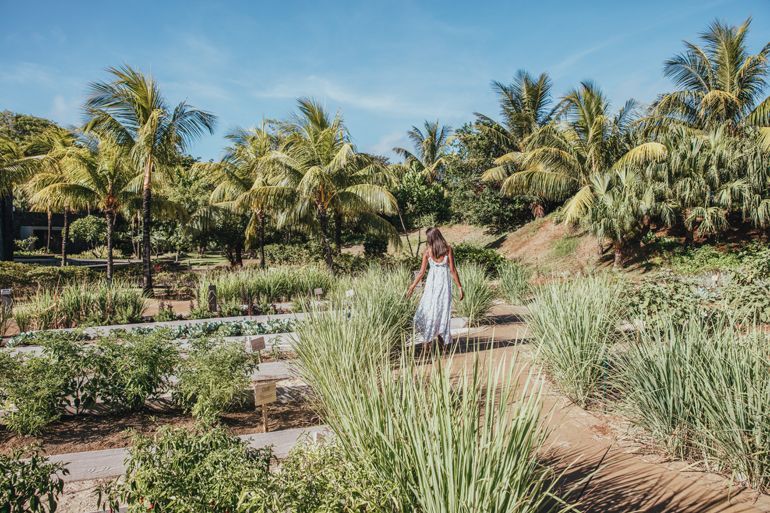  ile maurice long beach