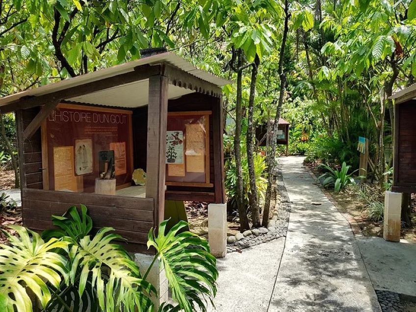 maison du cacao guadeloupe