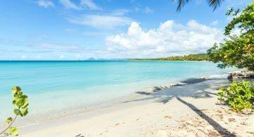 Top 5 des sites incontournables de Martinique