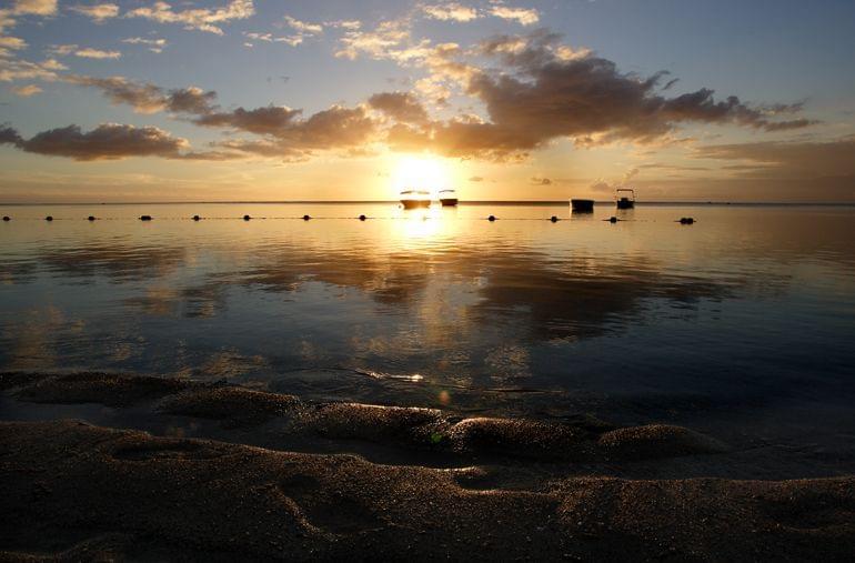 nature sauvage ile maurice