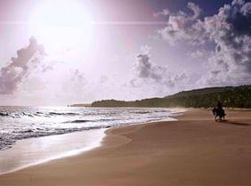 TOP 5 des hôtels de luxe de République Dominicaine
