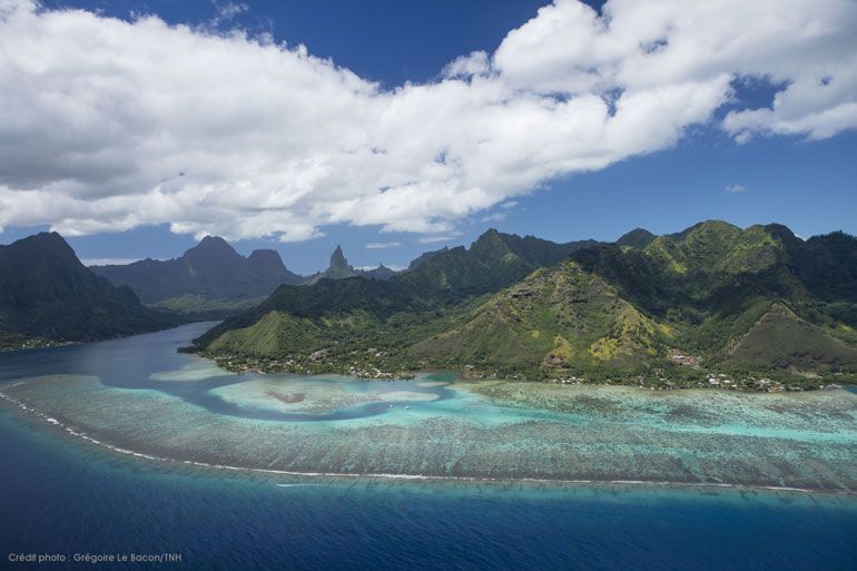 moorea polynesie