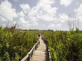 5 bonnes raisons de visiter les îles de Nassau & Paradise Island aux Bahamas