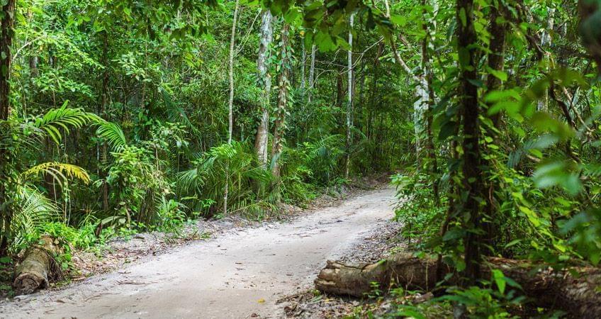 nature pemba island
