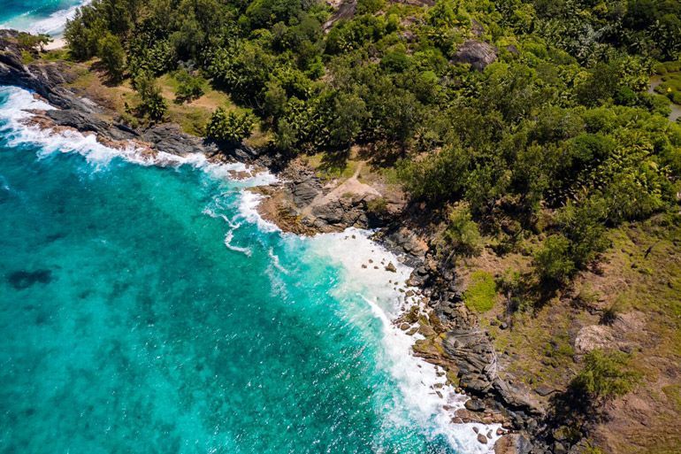 nature sauvage hilton labriz seychelles
