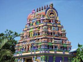 Vivez le nouvel an Tamoul  la Runion