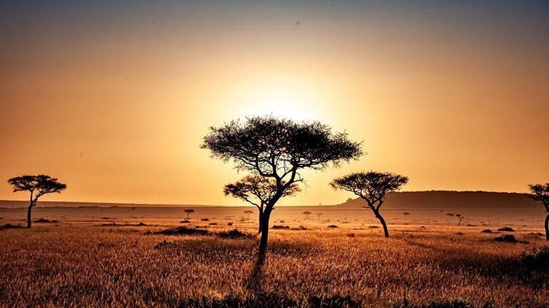panorama kenya