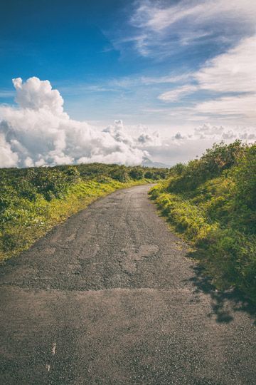 parc national basse terre guadeloupe
