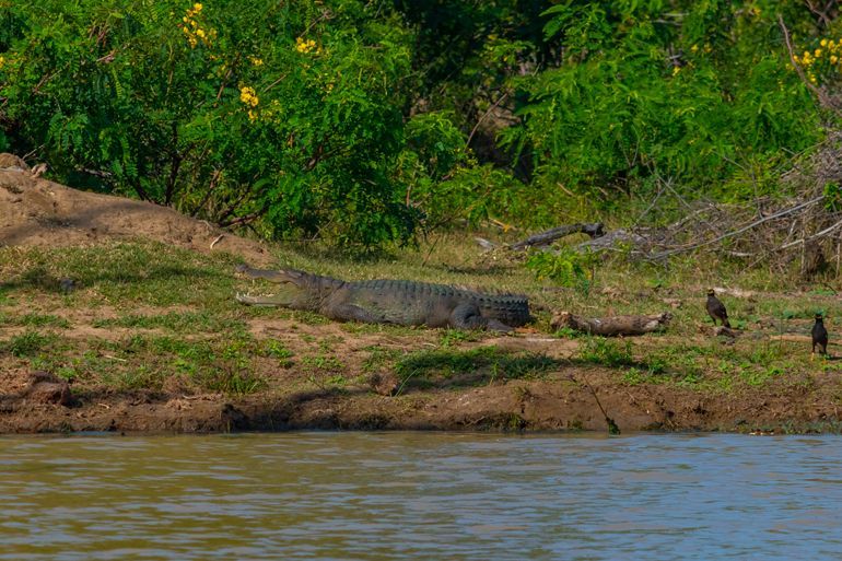 parc national bundala sri lanka