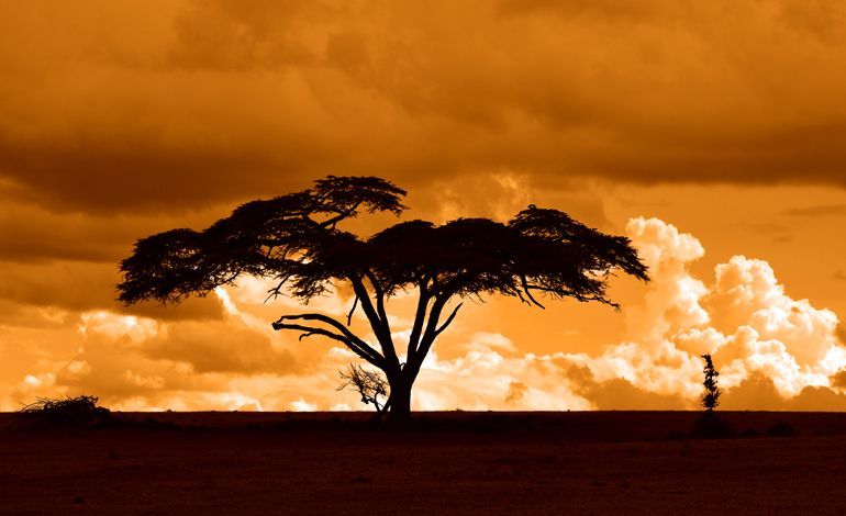 paysage kenya