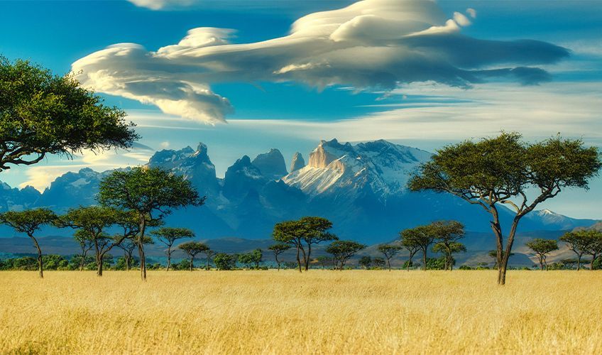 paysage de la savane kenyane